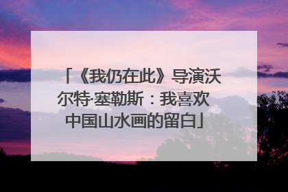 《我仍在此》导演沃尔特·塞勒斯：我喜欢中国山水画的留白
