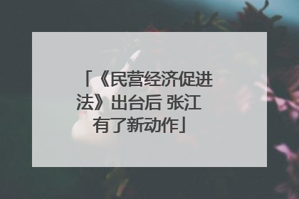 《民营经济促进法》出台后 张江有了新动作