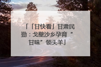 「甘快看」甘肃民勤：戈壁沙乡孕育“甘味”领头羊