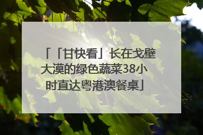 「甘快看」长在戈壁大漠的绿色蔬菜38小时直达粤港澳餐桌