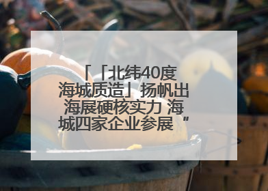 「北纬40度 海城质造」扬帆出海展硬核实力 海城四家企业参展“中东欧”展览会
