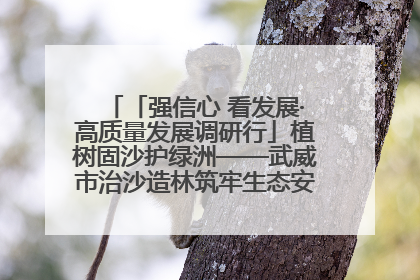 「强信心 看发展·高质量发展调研行」植树固沙护绿洲——武威市治沙造林筑牢生态安全屏障见闻