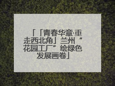 「青春华章·重走西北角」兰州“花园工厂”绘绿色发展画卷