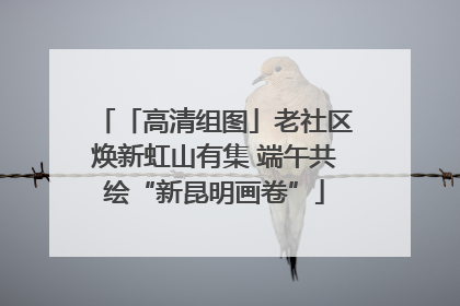 「高清组图」老社区焕新虹山有集 端午共绘“新昆明画卷”