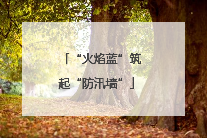 “火焰蓝”筑起“防汛墙”