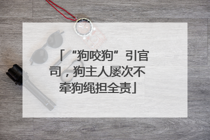 “狗咬狗”引官司，狗主人屡次不牵狗绳担全责