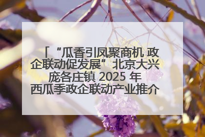 “瓜香引凤聚商机 政企联动促发展”北京大兴庞各庄镇 2025 年西瓜季政企联动产业推介活动圆满举行