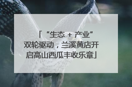 “生态 + 产业”双轮驱动，兰溪黄店开启高山西瓜丰收乐章