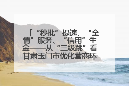 “秒批”提速、“全情”服务、“信用”生金——从“三级跳”看甘肃玉门市优化营商环境的进阶之路