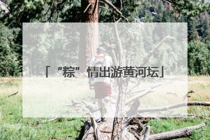 “粽”情出游黄河坛