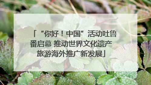 “你好！中国”活动吐鲁番启幕 推动世界文化遗产旅游海外推广新发展
