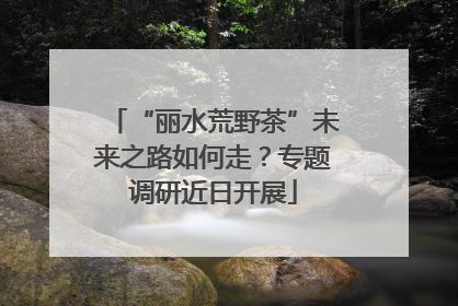 “丽水荒野茶”未来之路如何走？专题调研近日开展