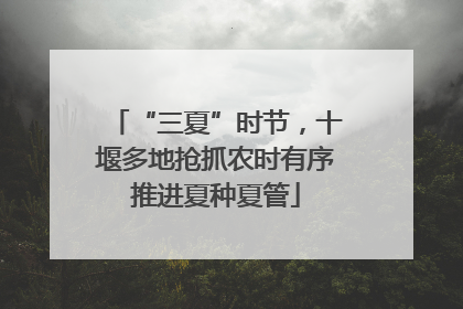 “三夏”时节，十堰多地抢抓农时有序推进夏种夏管