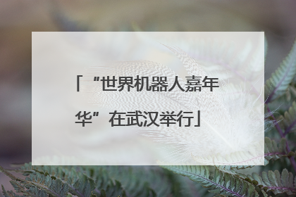 “世界机器人嘉年华”在武汉举行
