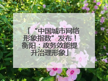 “中国城市网络形象指数”发布！衡阳：政务效能提升治理形象