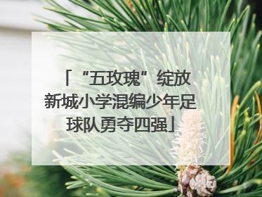 “五玫瑰”绽放 新城小学混编少年足球队勇夺四强