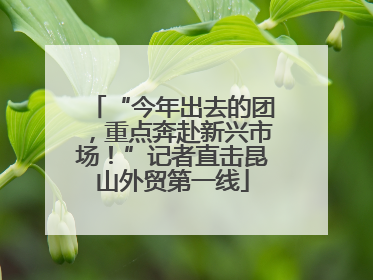“今年出去的团，重点奔赴新兴市场！”记者直击昆山外贸第一线