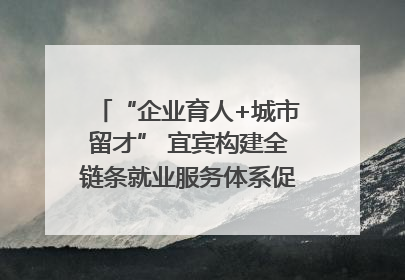 “企业育人+城市留才” 宜宾构建全链条就业服务体系促高校毕业生就业｜您牵挂的四川