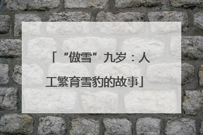 “傲雪”九岁：人工繁育雪豹的故事