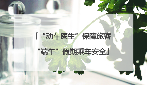 “动车医生”保障旅客“端午”假期乘车安全