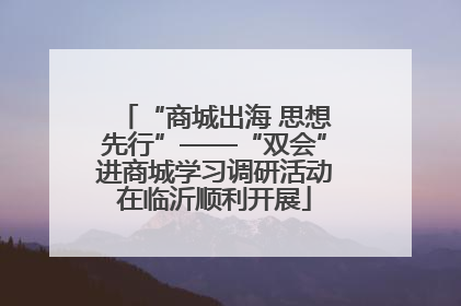 “商城出海 思想先行”——“双会”进商城学习调研活动在临沂顺利开展