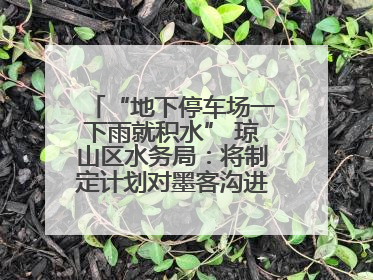 “地下停车场一下雨就积水” 琼山区水务局：将制定计划对墨客沟进行雨污分流