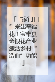 “家门口”采出幸福花！宝丰县金银花产业激活乡村“造血”功能