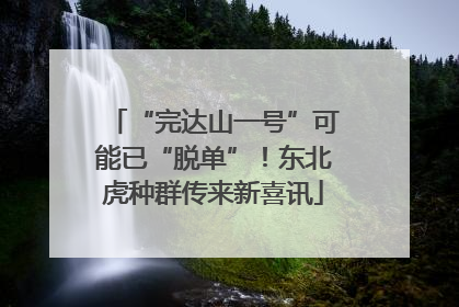 “完达山一号”可能已“脱单”！东北虎种群传来新喜讯