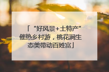 “好风景+土特产”催热乡村游，桃花涧生态美带动百姓富