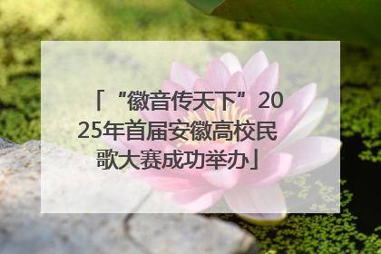 “徽音传天下”2025年首届安徽高校民歌大赛成功举办