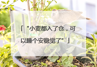 “小麦都入了仓，可以睡个安稳觉了”
