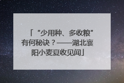 “少用种、多收粮”有何秘诀？——湖北襄阳小麦夏收见闻
