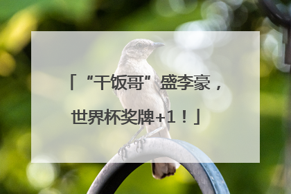 “干饭哥”盛李豪，世界杯奖牌+1！