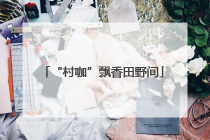 “村咖”飘香田野间