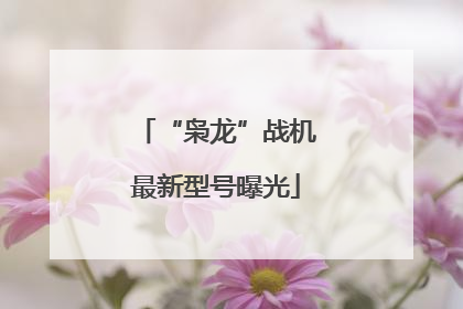 “枭龙”战机最新型号曝光
