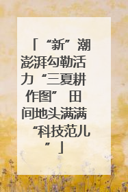 “新”潮澎湃勾勒活力“三夏耕作图” 田间地头满满“科技范儿”