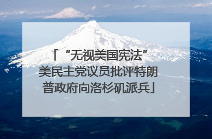 “无视美国宪法” 美民主党议员批评特朗普政府向洛杉矶派兵