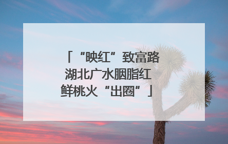 “映红”致富路 湖北广水胭脂红鲜桃火“出圈”