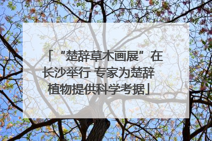 “楚辞草木画展”在长沙举行 专家为楚辞植物提供科学考据