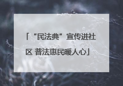 “民法典”宣传进社区 普法惠民暖人心