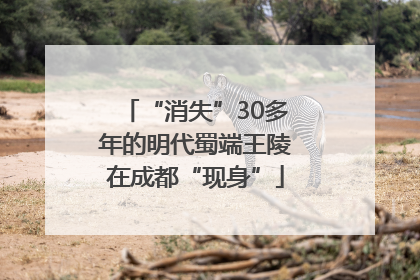 “消失”30多年的明代蜀端王陵在成都“现身”