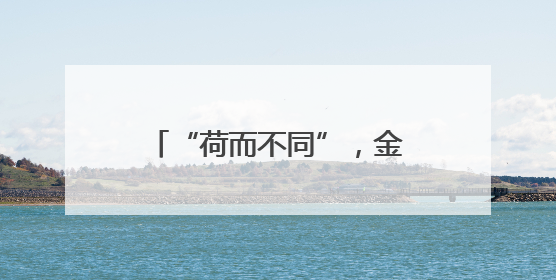 “荷而不同”，金陵美石展献上富有创意的文化盛宴