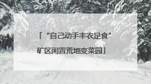 “自己动手丰衣足食”矿区闲置荒地变菜园