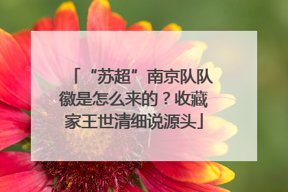 “苏超”南京队队徽是怎么来的？收藏家王世清细说源头