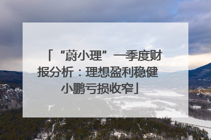 “蔚小理”一季度财报分析：理想盈利稳健 小鹏亏损收窄