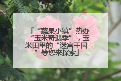 “蔬果小镇”热办“玉米奇遇季”，玉米田里的“迷宫王国”等您来探索