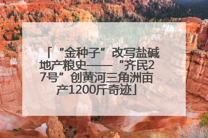 “金种子”改写盐碱地产粮史——“齐民27号”创黄河三角洲亩产1200斤奇迹