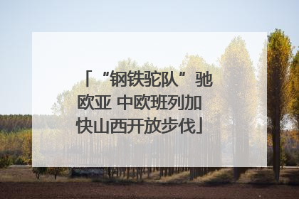 “钢铁驼队”驰欧亚 中欧班列加快山西开放步伐
