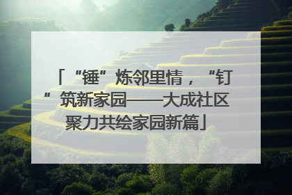 “锤”炼邻里情，“钉”筑新家园——大成社区聚力共绘家园新篇