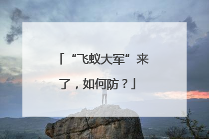 “飞蚁大军”来了，如何防？